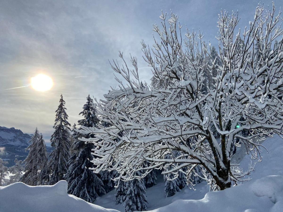 Agriturism Gscnara Daire San Martino in Badia Dış mekan fotoğraf